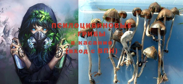 молекула духа Алзамай