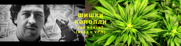 молекула духа Алзамай
